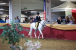 SBM_15884