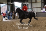 BPP_5937