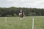 BVHT 140517  NXC -95