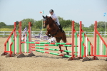 SBM_012397