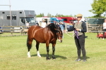 SBM_02173