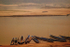 Mekong Boats  _LO003