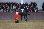 SBM_003235