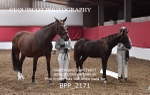 BPP_2171
