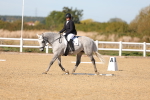 SBM_001460
