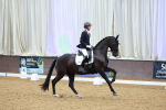 SBM_004536