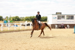 SBM_006223
