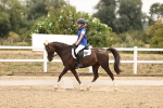 SBM_006403