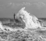 Newhaven 4730 bw v3
