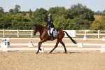 SBM_006859