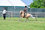 SBM_15338