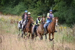 WJ6_2322