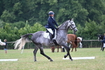 WJ7_4110