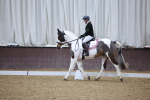 SBM_001953