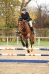 Unaffiliated Show Jumping portfolio