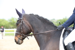 SBM_007286