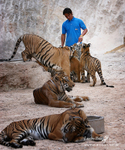 Kanchanaburi 016_DxOA