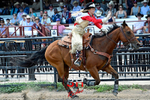3HRodeo_CFD_JUL_26_2026_00182