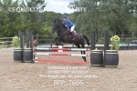 BPP_7666