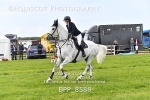 BPP_8588