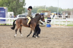 SBM_21843