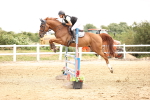 SBM_003373