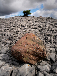 Castell y Geifr