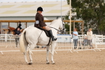 SBM_15563