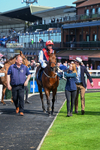 040526-Race 5-Copper Knight-2669