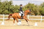 SBM_006531
