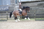 SBM_007078