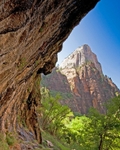 Zion Weeping Rock 11 x 14