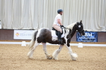 SBM_000772