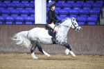 SBM_000193