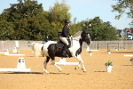 SBM_16586