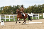 SBM_004447