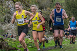 Dovedale Dash-981