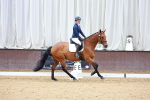 SBM_000593