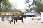 SBM_18345