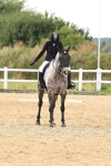 SBM_000798