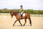 SBM_008056