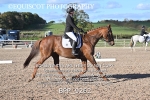 BPP_9262