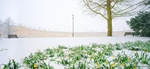 Spring snow, Royal Crescent, Bath. EDC 300