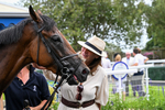 280726-Race 5-Norcross Brow-1376