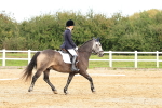 SBM_001488
