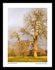 Giants of Tatton Park copy 1