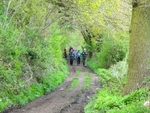 033 Next into Hawks Nest Wood