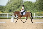 SBM_009968