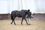 SBM_5797