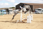 SBM_006894
